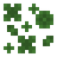 Clover Patch