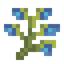 Blue Bulbs