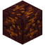 Carved Magma Block
