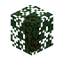 Spruce Leaf Hedge