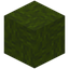 Bundled Green Wool