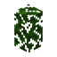 Oak Hedge