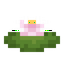Flowering Lily Pad