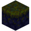 Warped Nylium