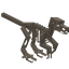 Chicken-Fossil