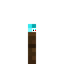 Dark Oak Planks Soul Torch