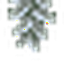 Droopfruit