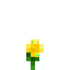 Buttercup
