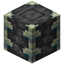 Reinforced Deepslate