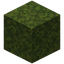 Moss Block