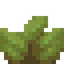 Drowsy Succulent