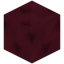 Zane Variant 11