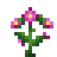 Incan Lily