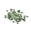 Tungstate Surface Rock