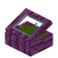 Lime Pink Bioshroom Display Case