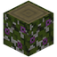 Flowering Birch Log