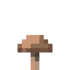 Brown Mushroom