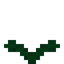 Wide Fern