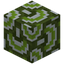 Waved Green Glazed Terracotta