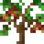 Almond Sapling