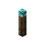 Soul Torch