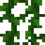 Vines