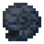Nautilus Shell