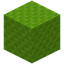 Ribbled Lime Wool
