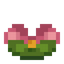 Lotus Flower