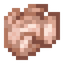 Raw Duck
