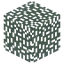 Black Locust Leaves