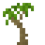 Palm Sapling