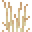 Sandy Tall Grass