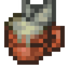 Insect Stew Cup