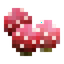 Haw