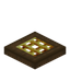 Golden Barred Spruce Trapdoor