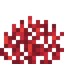 Fire Coral Fan