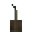 Coconut Sprout