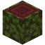 Overgrown Mangrove Log