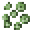 Lettuce Seeds