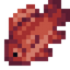 Red Snapper