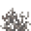 Dead Thorn Coral Fan