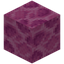 Brain Coral Block