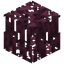 Crimson Mangrove Roots