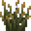 Firefly Bush