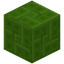 Mosaic Lime Concrete