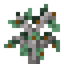 Nutmeg Sapling