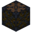 Jungle Log 9x