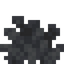 Dead Bubble Coral