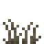 Dead Grass